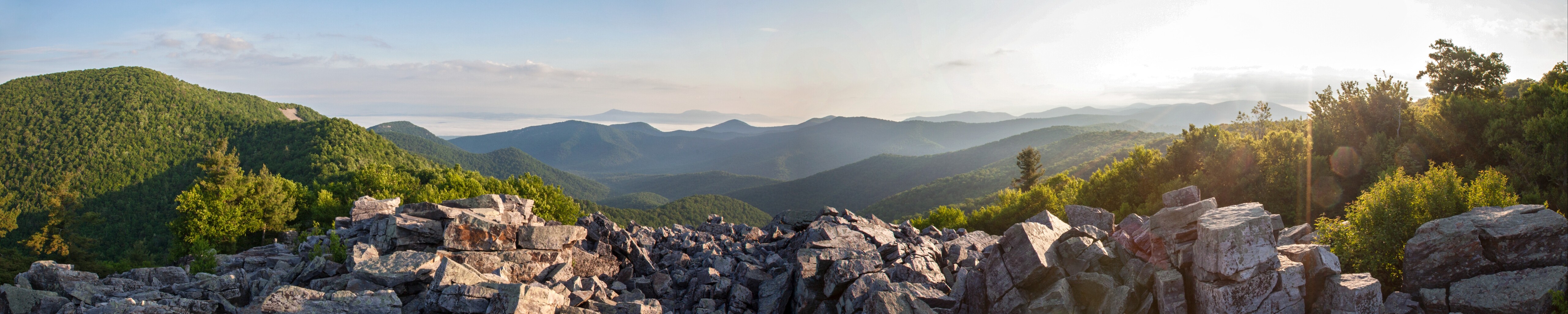 Cover photo for Connie L. Gordon's Obituary