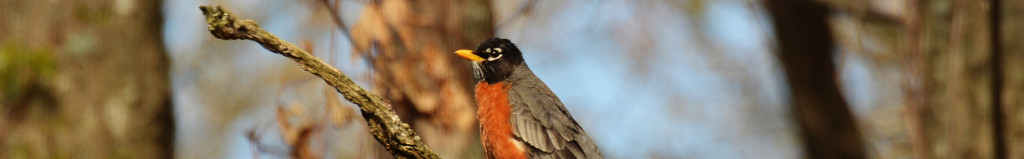 Cover photo for Eldon B. Merrick's Obituary