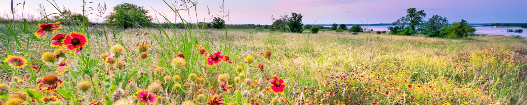 Cover photo for Sharon Wanzell Johansen's Obituary