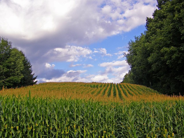 Cover photo for John Donald Perschbacher's Obituary