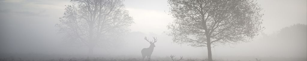 Raymond J. Sheets Obituary 2024 Seaver Brown Funeral Service