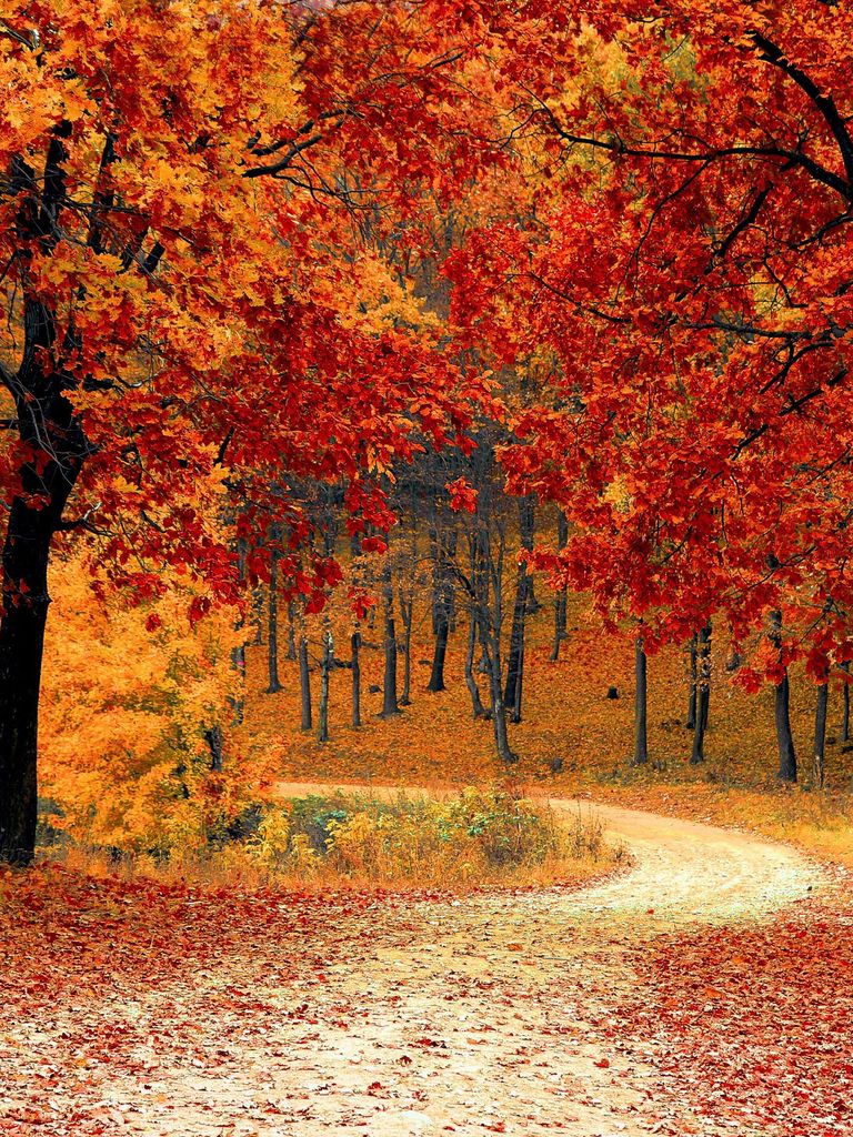 Darwin Johnson Obituary 2021 Lind Family Funeral Home