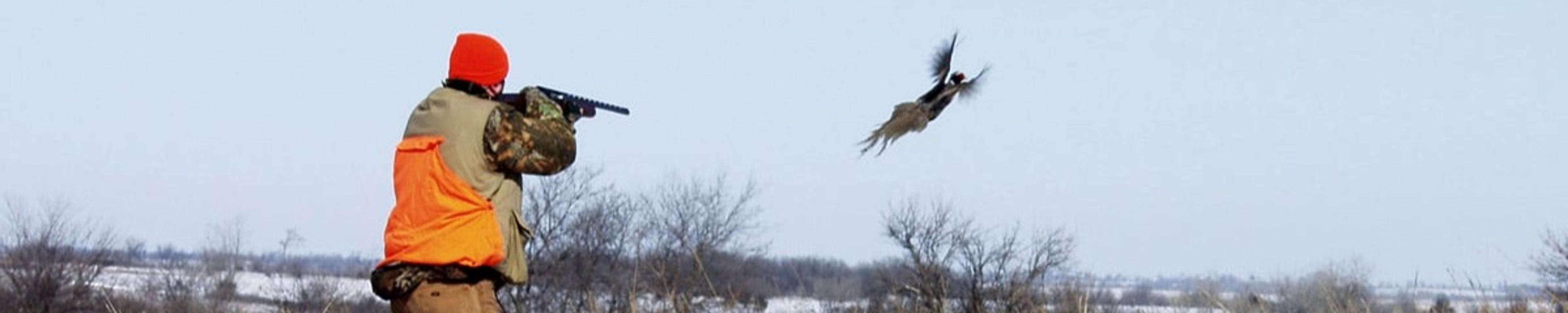 Cover photo for Lee "Bud" Van Laanen's Obituary