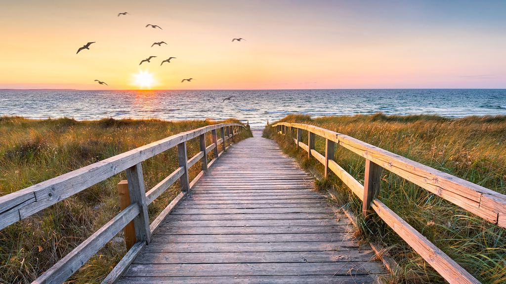 Peggy Jo Mills Obituary 2024 Lowe Funeral Home