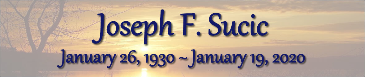 Cover photo for Joseph Sucic's Obituary