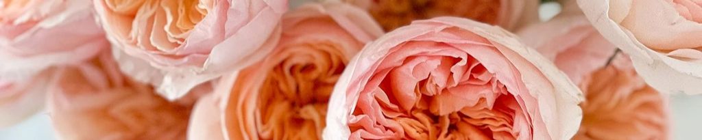 Cover photo for Netanja Thuynsma's Obituary