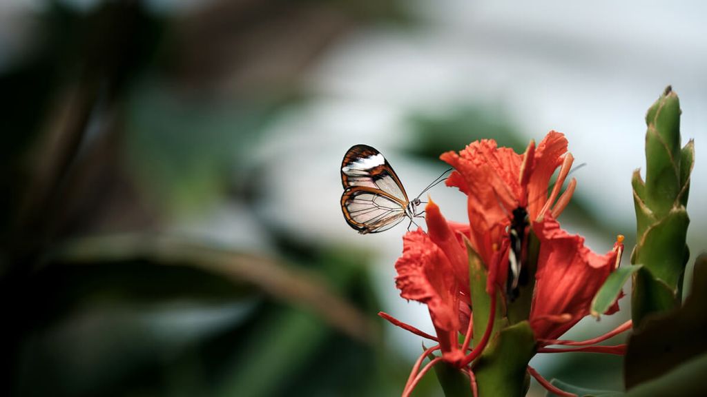 Cover photo for Eleanor "Pat"  Patricia Storey's Obituary