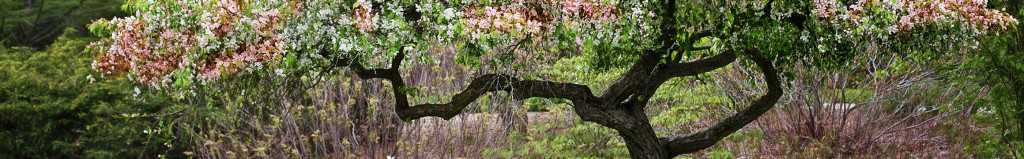 Cover photo for Marjorie Kathleen "Kay" Walker's Obituary