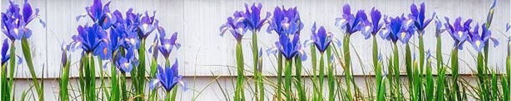 Cover photo for Barbara Ann Lee's Obituary