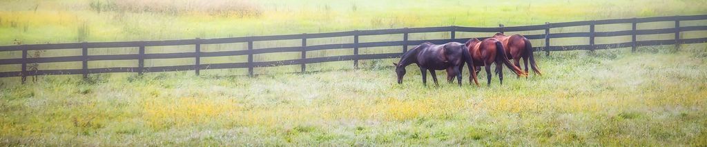 Charles Thomas Wooldridge, Sr. Obituary 2021 Kentuckiana