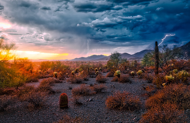 Victoria Marie Burton Obituary 2023 Brown s Cremation Funeral