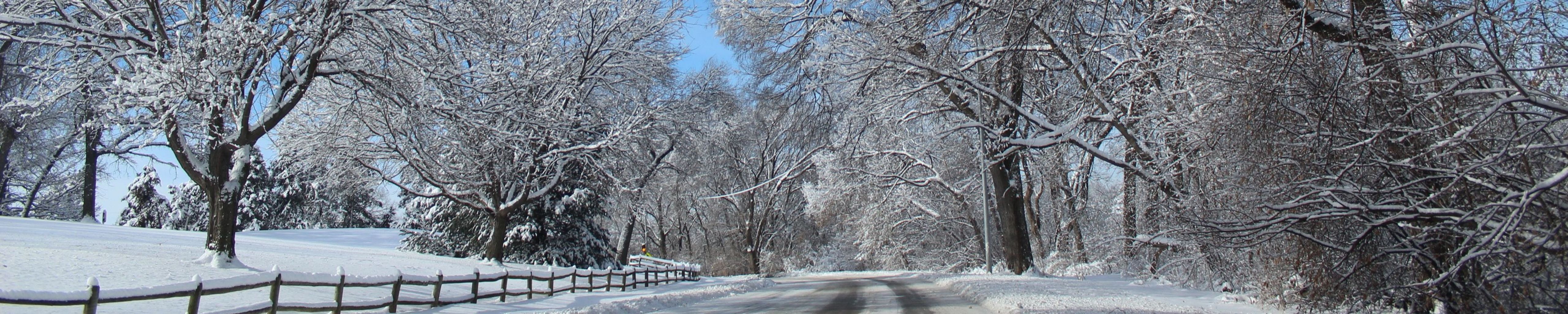 Cover photo for Irene K Felker's Obituary