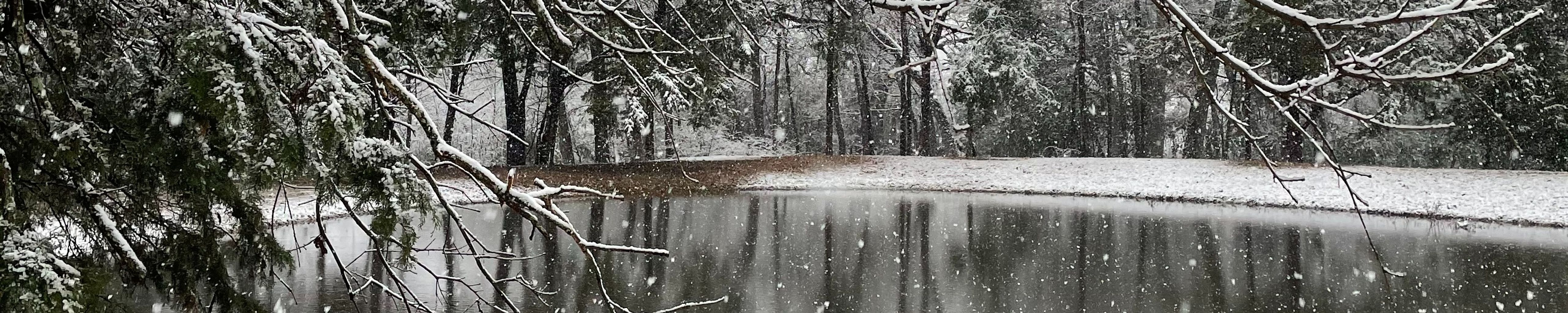 Cover photo for Leslie Carter Lowery's Obituary