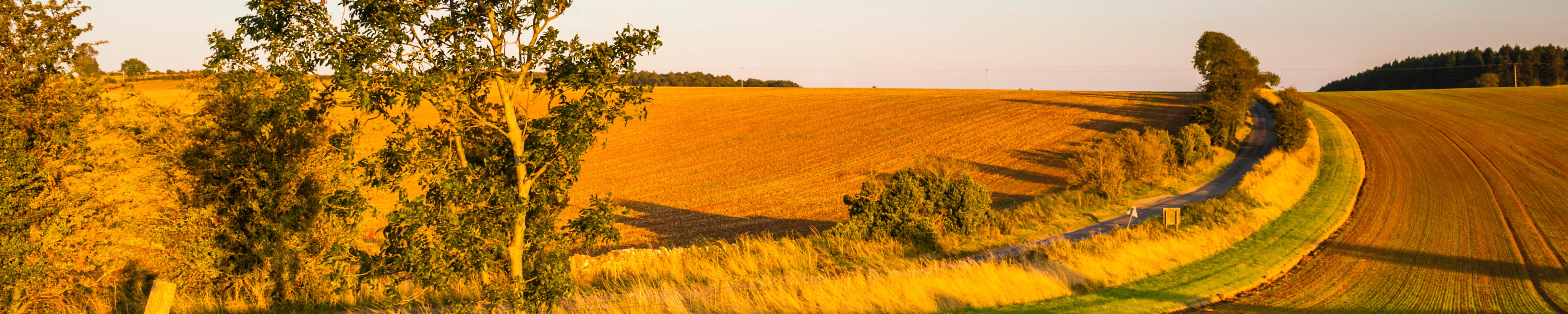 Cover photo for Ellen A. Spilinek's Obituary