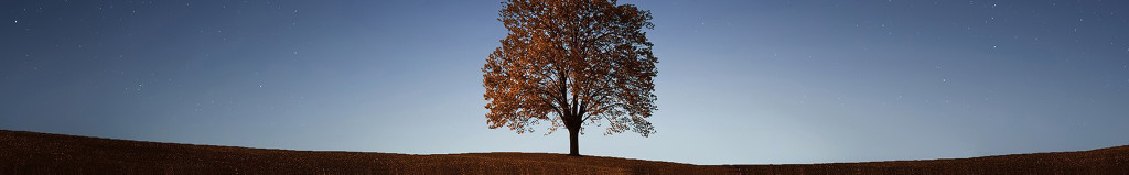 Cover photo for James Pearson's Obituary