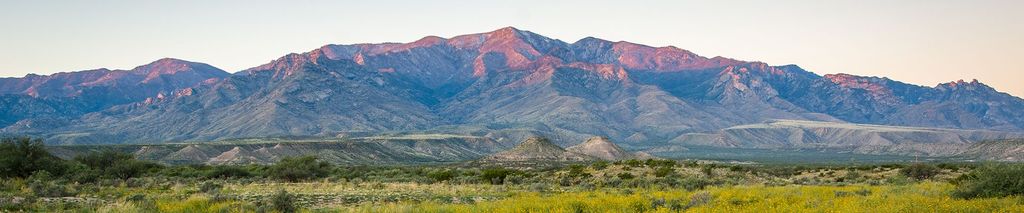 Cover photo for Sherri L. Rozell's Obituary
