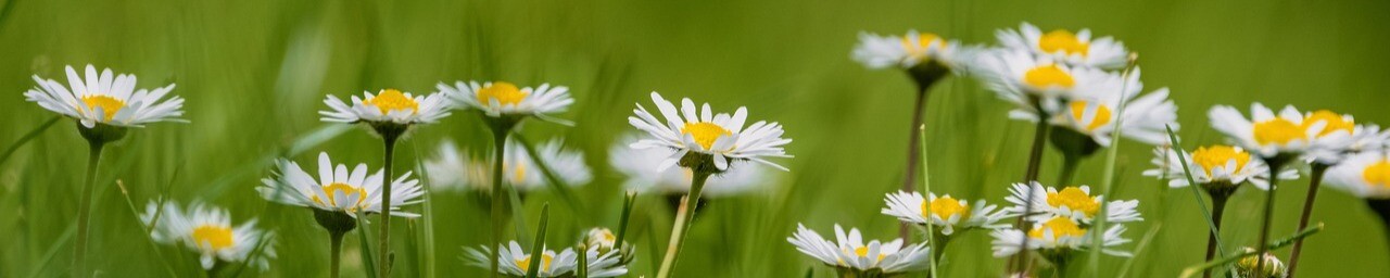 Cover photo for Mary Abbott "TaTa"'s Obituary