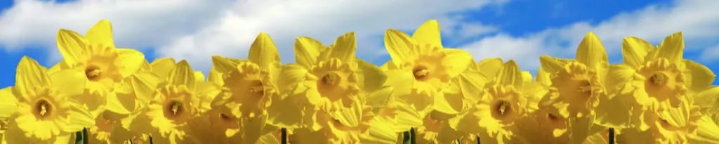 Cover photo for Peggy Murr's Obituary