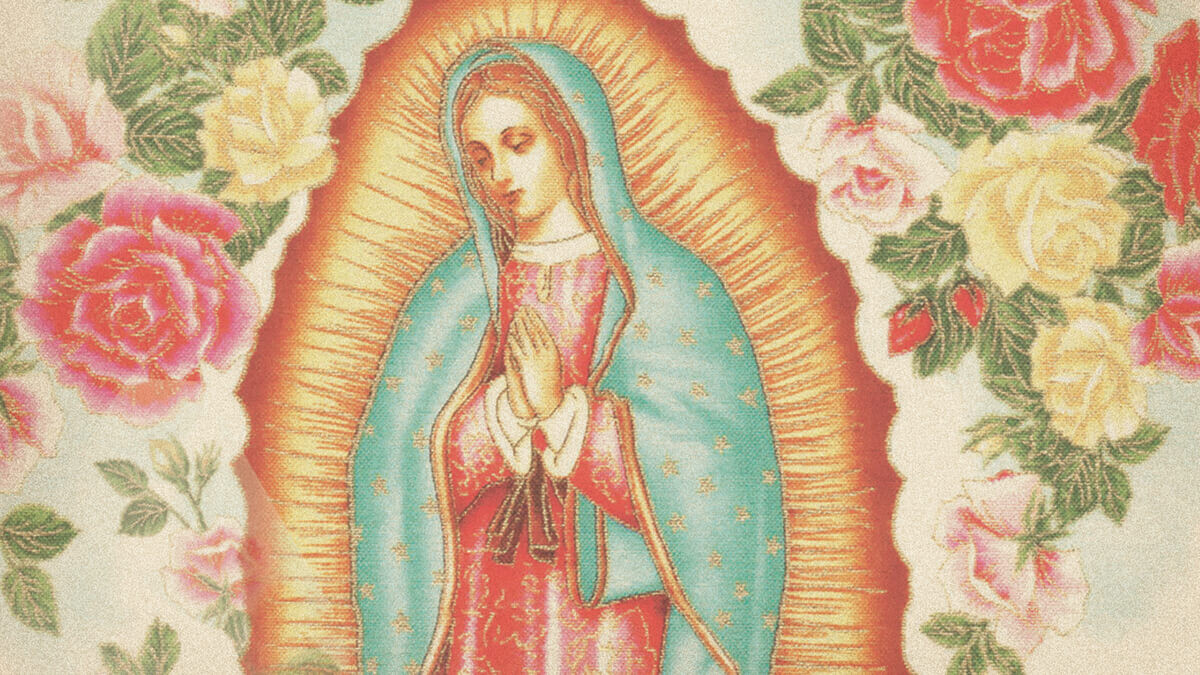 Cover photo for Maria Guadalupe Guerrero's Obituary