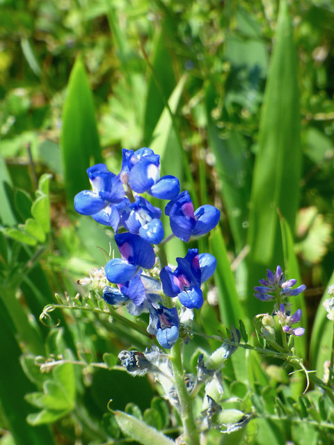 Cover photo for Bonnie Ruth Mitchell's Obituary