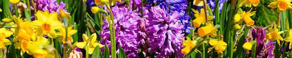 Cover photo for Marjorie "Margie" Weiss's Obituary