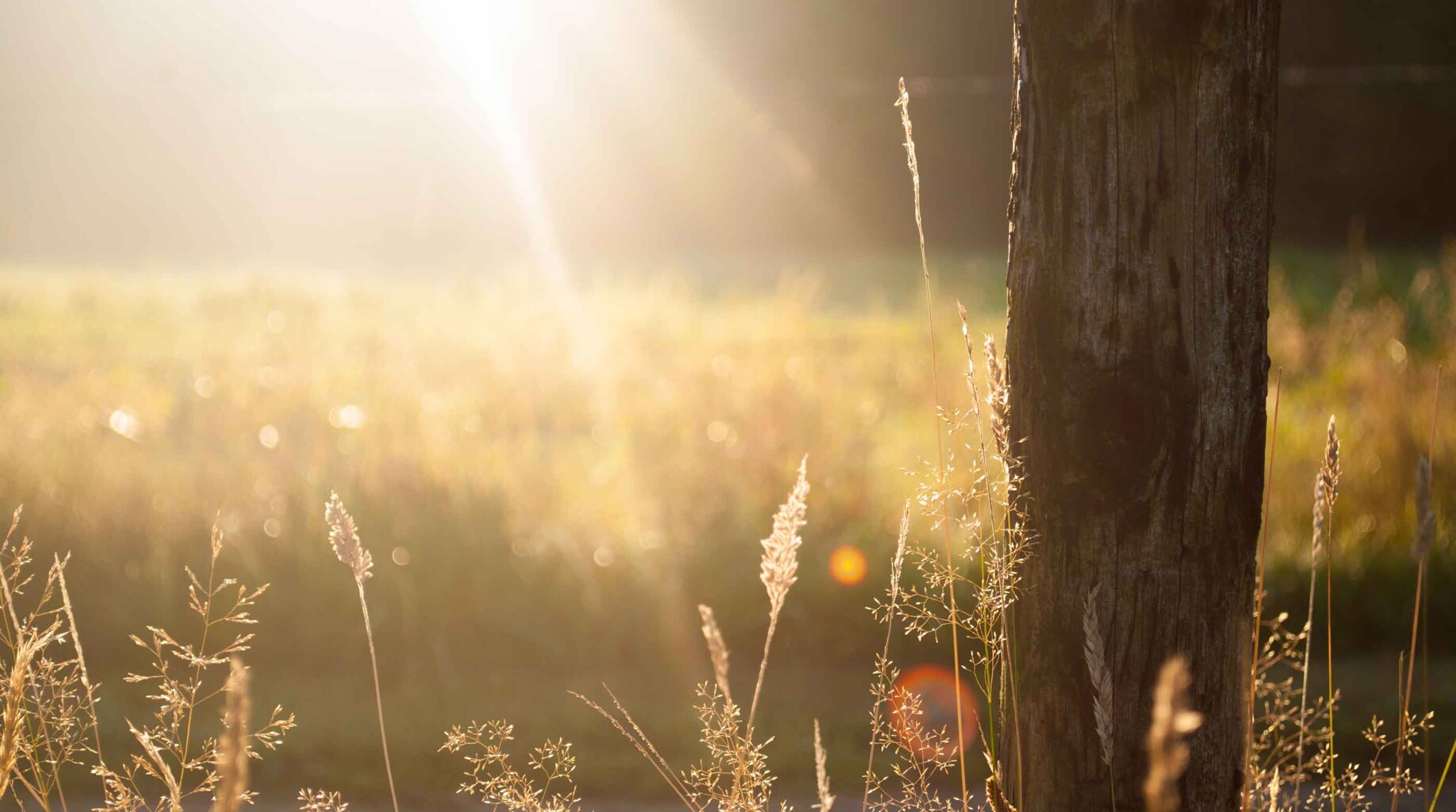 Cover photo for Janine A. Richardson's Obituary