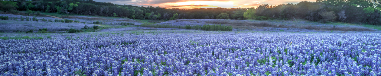 Cover photo for Grace Bishop's Obituary