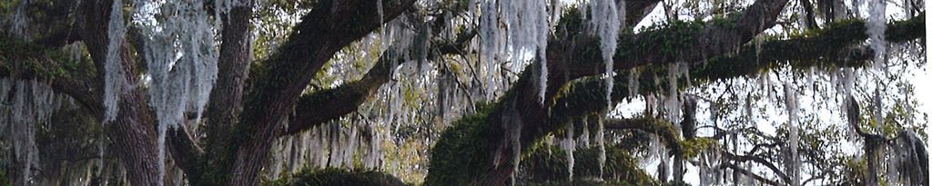 Cover photo for Wilson Gervais Seabrook's Obituary