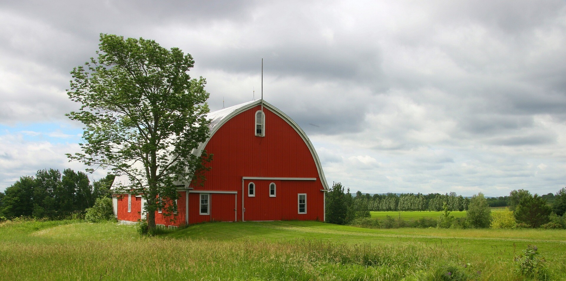 Cover photo for Alton D Thieme's Obituary