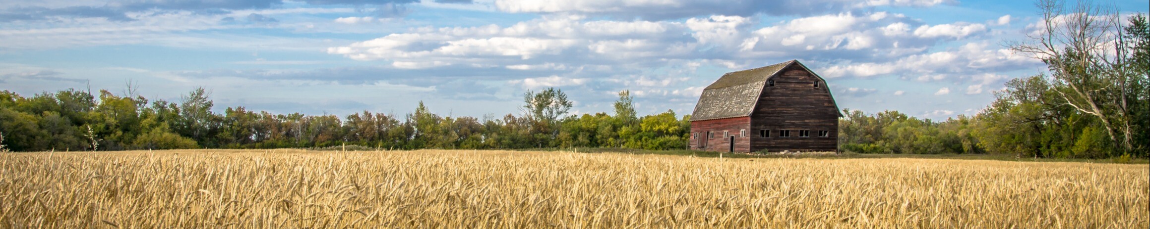 Cover photo for Earl R. Listul's Obituary