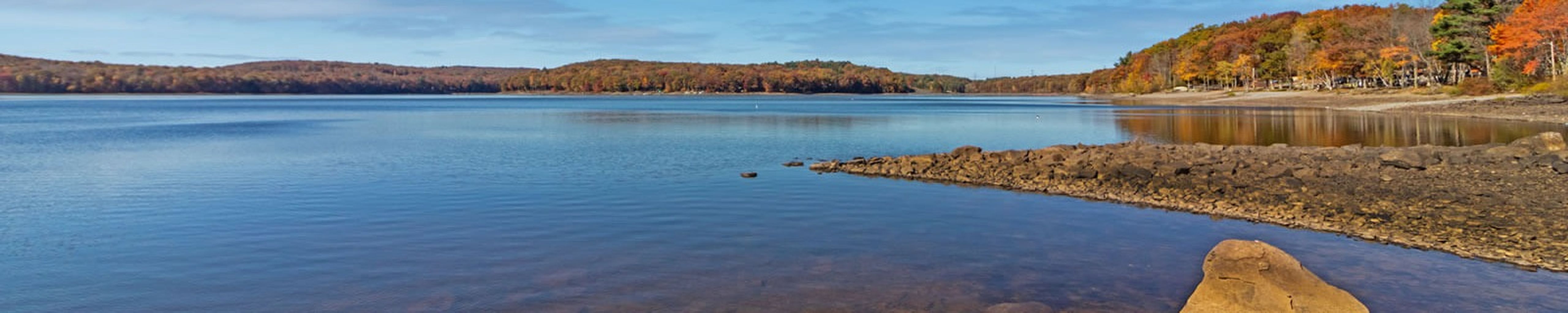 Cover photo for Florence E. Medica's Obituary