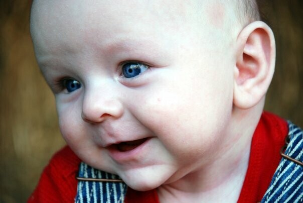 Leo David Lambert photo gallery image 1 of 100