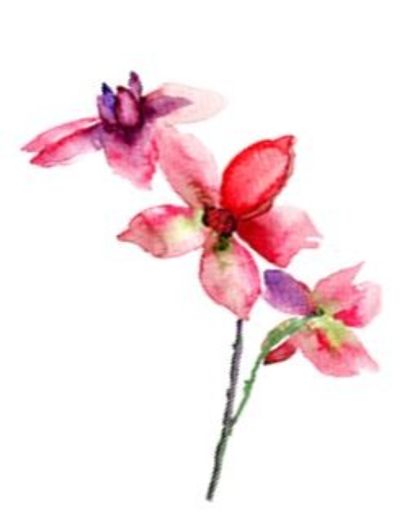 Patricia L. Oliver Profile Photo