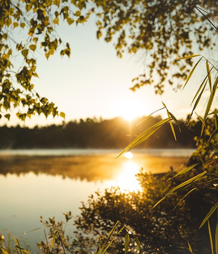 Beverly Lois Miller's obituary image