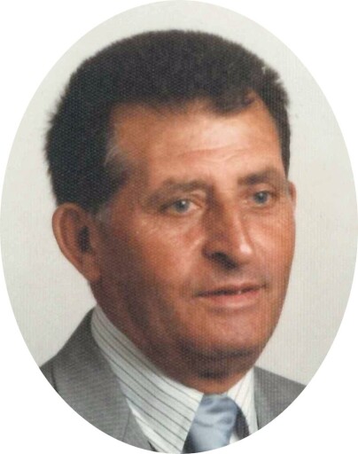Raffaele Perri