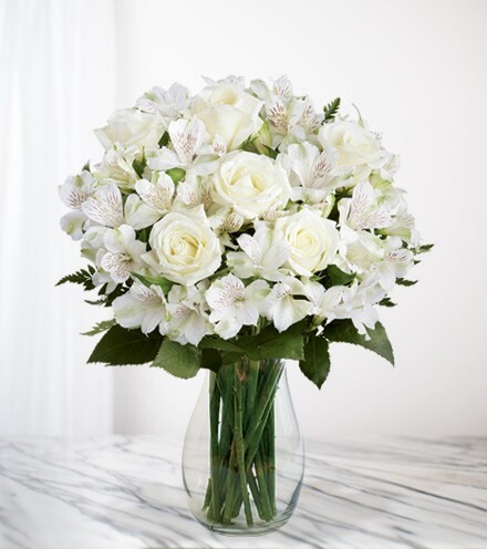 Pop Up Flower White Roses – Ambassadors for Community Health