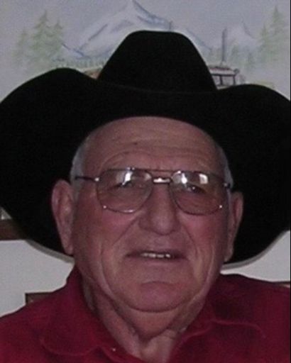 Robert Tobe Holliday's obituary image