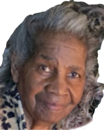 VERNICE H. BROWN's obituary image