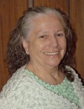 Patricia Zollman Profile Photo