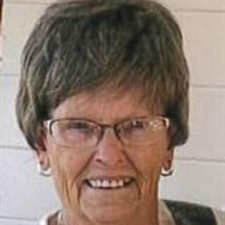 Judy K. Shelgren Profile Photo