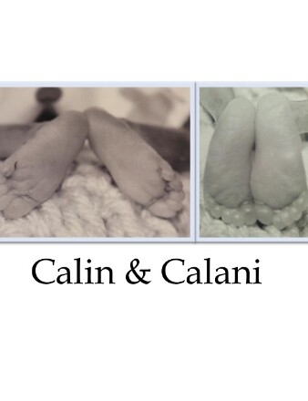 Baby Boys Calin & Calani Houston (Lansing) Profile Photo