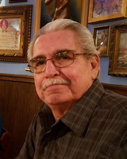 Joe Martin Trevino Obituary - San Antonio, TX