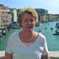 Judy Perfili Noyce Profile Photo