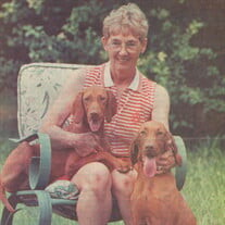 Betty L. Rozanek Profile Photo