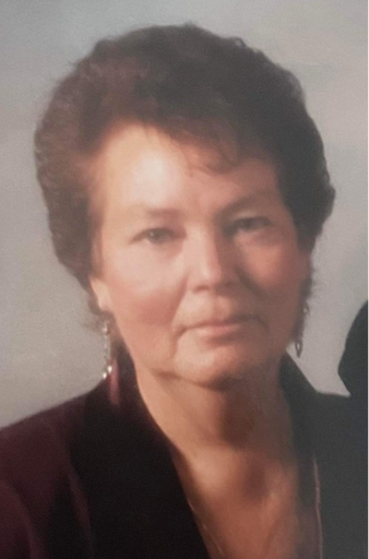 Carol Ann (Newstead)  Clarke