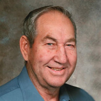 Irwin A. Grau Profile Photo