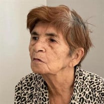 Maria Castro Profile Photo