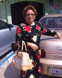 Inday Sufing, Josefina Law