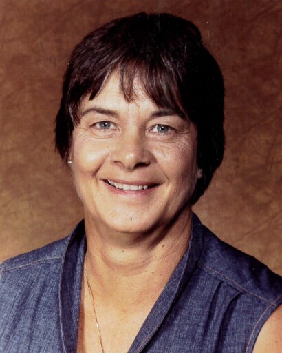 Mrs. Colleen Mattingly Profile Photo