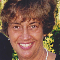 Diane Bierwagen Profile Photo